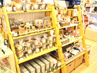 セレクトショップＩｇｕｒａ 店内